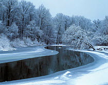 Nerussa river beginning to freeze, Bryansky Les Zapovednik, Russia.