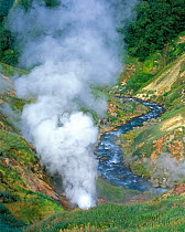 The Bolshoi / Greater Geyser erupting, Geyser Valley, Kronotsky Zapovednik, Russia.