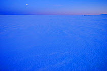 Midwinter landscape, Arctic light, Vindelfjallen NR, Lapland, Sweden, -40C