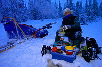 Cooking in midwinter Arctic light, Vindelfjallen NR, Lapland, Sweden, -40C Dogsledging