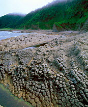 Basalt pegs at Stolbchaty (Column) Cape, Kurilsky Zapovednik Kunashir Island,