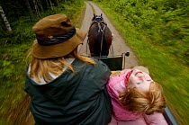 Person driving carriage pulled by a working horse, Halsingland, Sweden.