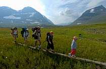 Hiking ecotourism, Hemavan, Vindelfjallen NR, Lapland, Swede