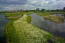 London Wetland Centre, Barnes, Middlesex, UK, view from tower hide.