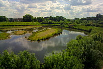 London Wetland Centre, Barnes, Middlesex, UK, view from tower hide.