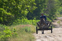 Man driving a Donkey cart in Bulgaria.