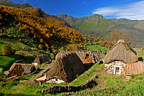 Traditional thatched houses, Brana la Pornacal, Somiedo National Park.
