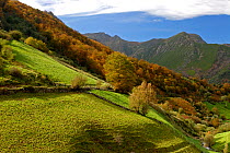 Fields and valley in Somiedo National Park. Asturias, Spain