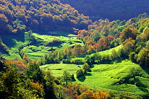 Fields and valley in Somiedo National Park. Asturias, Spain