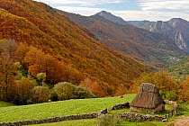 Traditional thatched hut, Brana de Fuexu, Valle del Lago, Somiedo NP. Asturias, Spain