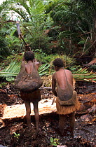 Sago harvest - Korowai women crushing the trunk of a sago-tree, Western Papuasia, former Irian-Jaya, Indonesia. 1999 / 2000. (West Papua).