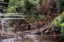 A Korowai clan crossing a river to join the sago celebration, Western Papuasia, Indonesia. 1999 / 2000. (West Papua).