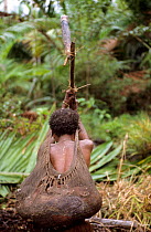 Korowai woman crushing the trunk of a sago-tree, with her child on her back, Indonesia. 1999 / 2000. (West Papua).