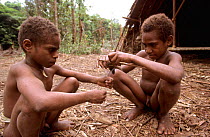Korowai children playing with a spider, Western Papuasia, Indonesia. 1999 / 2000. (West Papua).