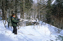 Ranger Denis Masse uses radio tracking device to find Black bears, Parc National de la Mauricie, Canada.