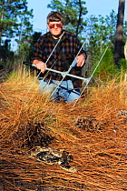 Biologist Jeff Beane radio tracking a Pine gopher snake {Pituophis melanoleucus} North Carolina, USA.