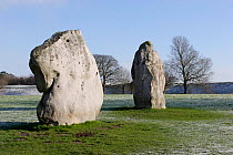 Two Megaliths at Avebury Stone Circle (World Heritage Site) in frost, Avebury, Wiltshire, UK