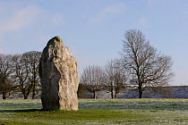 Stone megalith at Avebury Stone Circle (World Heritage Site) Avebury, Wiltshire, UK.