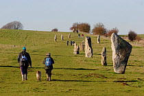 Tourists walk down Kennet Stone Avenue near Avebury Stone Circle (World Heritage Site) Avebury, Wiltshire, UK