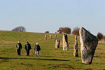 Tourists walking along Kennet Stone Avenue near Avebury Stone Circle (World Heritage Site) Avebury, Wiltshire, UK.