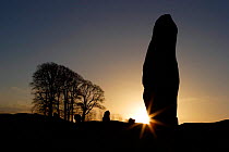 Silhouette stone megalith at Avebury Stone Circle (World Heritage Site), sunrise Avebury, Wiltshire, UK
