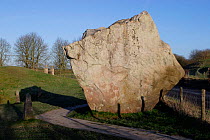 The 'Swindon Stone', largest of the stones at Avebury Stone Circle (World Heritage Site) Avebury, Wiltshire, UK