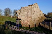 The 'Swindon Stone', largest stone at Avebury Stone Circle (World Heritage Site) weighing 65 tons (man in picture is 6 feet 2 inches tall) Avebury, Wiltshire, UK.