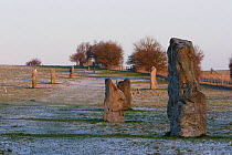 Kennet Stone Avenue with frost, part of the World Heritage Site at Avebury. Avebury, Wiltshire, UK