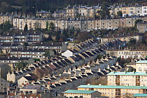 Dense Housing, City of Bath, UK