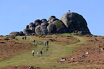 People walking up Haytor granite outcrop) a popular tourist attraction and landmark. Dartmoor National, Park, Devon, UK.