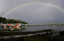 Rainbow over Tobermory harbour and colourful houses of main street, Tobermory, Isle of Mull, Scotland