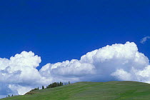 Towering cumulus clouds in blue sky above hilltop, Yellowstone NP, Wyoming, USA.