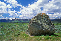Glacial erratic boulder, remnant of the last ice age, Yellowstone National Park, Wyoming, USA.