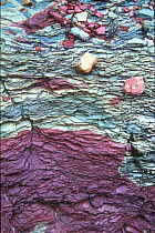 Close-up of layered green Appekuny and red Grinnell mudstone, Glacier NP, Montana, USA.
