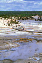 Tourists on walkway through Porcelain Basin, part of the Norris Geyser Basin, Yellowstone NP, Wyoming, USA