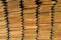Timber planks and boards ready for transportation, Belgium