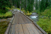 Bridge at Cascade Creek, Jenny Lake, Grand Teton National Park, Wyoming, USA