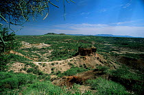 Hell's Gorge, Oldrgesaille, Olduvai, Serengeti National Park, Rift Valley, Tanzania.