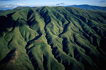 Aerial view of Crater Highlands, Ngorongoro conservation area, Tanzania.
