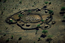 Aerial view of village huts and livestock in enclosure, Crater Highlands, Ngorongoro conservation area, Tanzania.