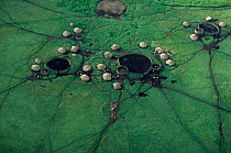 Aerial view of village huts and livestock enclosures, in Crater Highlands, Ngorongoro conservation area, Tanzania.