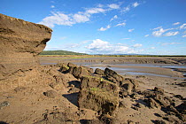 Coastal erosion at Morecambe Bay, Lancashire, UK.