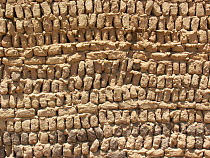 Wall of Ancient building made from mud bricks, El Bawiti, Egypt.