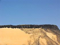 Shiny black volcanic rock strewn over the sand in the Black Desert, Western-Egypt.