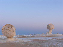 The White Desert, near Bahariya, Egypt, with unusual rock formations caused by wind eroding  the calcium rich rock.
