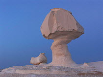 The White Desert, near Bahariya, Egypt. The unusual sculptures are eroded by the wind from the calcium rich rock.
