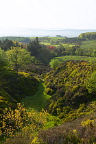 Disused quarry re-colonised by vegetation, Forest of Bowland, Lancashire, England, UK.