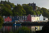 Colourful harbour cottages in Tobermory from across the bay, Isle of Mull, Scotland, UK.