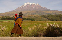 Quichua Indian woman walking and carrying baby on her back. Chimborazo Mountain (6310m) highest mountain in Ecuador. Inactive / extinct volcano, last eruption 10,000 years ago, Andes, Ecuador 2005
