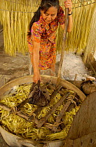 Pabla Reses boiling and then drying paja toquilla (straw), used to make Panama hats, Barcelona, Ecuador. 2005
